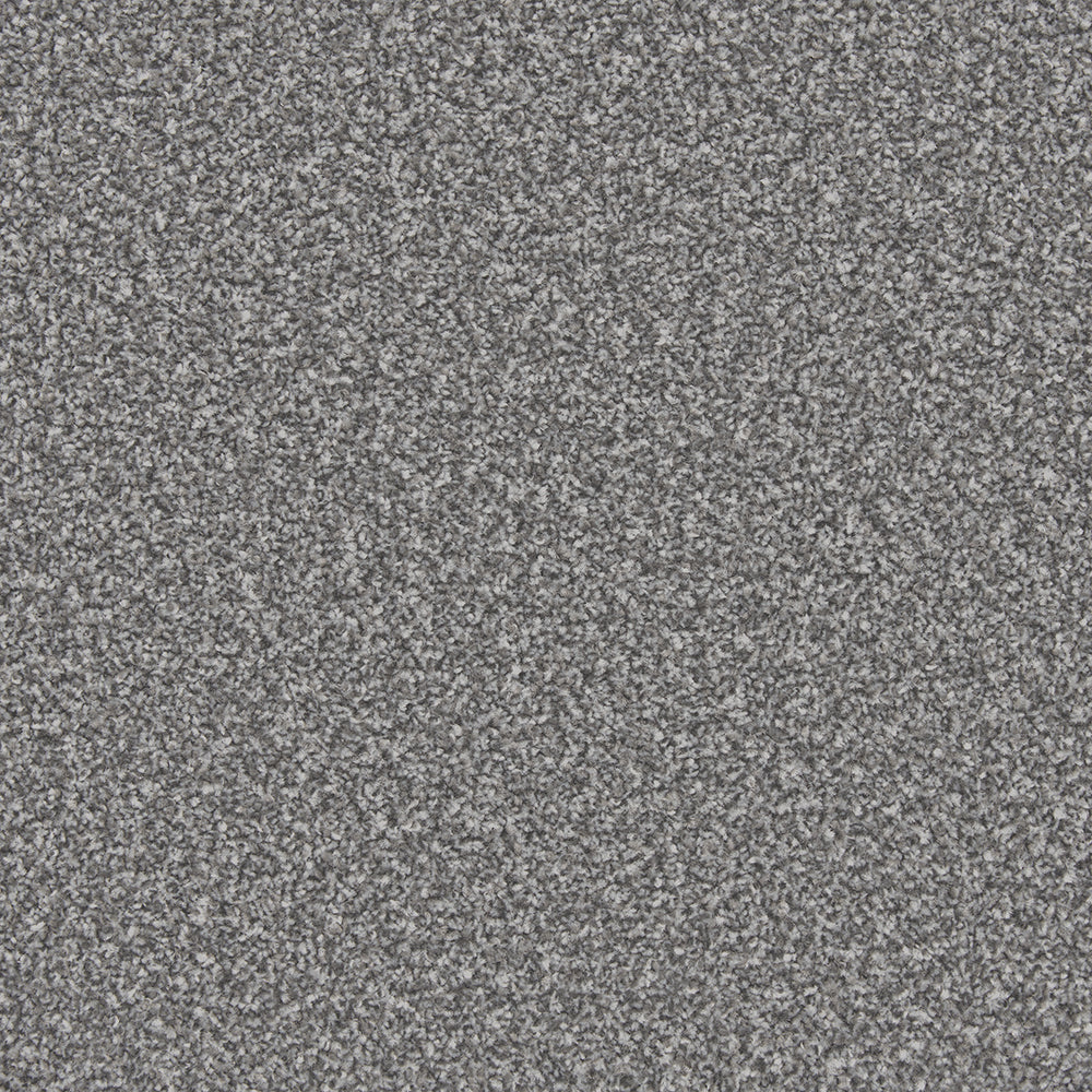 Apollo Plus Carpet