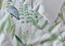 Aaliyah Botanical Reversible Botanical Duvet Set